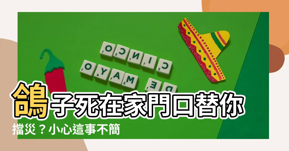 【鴿子死在家門口】鴿子死在家門口替你擋災？小心這事不簡單！