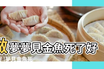 【夢到死了大批金魚】做夢夢見金魚死了好不好 |夢見金魚死了 |