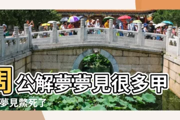 【做夢夢到很多甲魚死了】周公解夢夢見很多甲魚 |夢見鱉死了 |夢到鱉死了是什麼意思 |