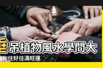 【垂吊植物風水】垂吊植物風水學問大！讓你住好住滿旺運又財氣
