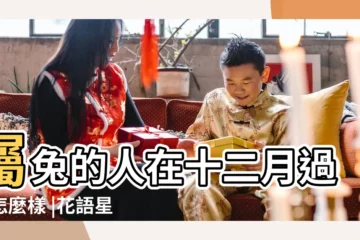 【屬兔的十二月的感情】屬兔的人在十二月過得怎麼樣 |花語星座 |終於脱單 |