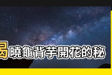 【龜背芋開花】揭曉龜背芋開花的秘密!