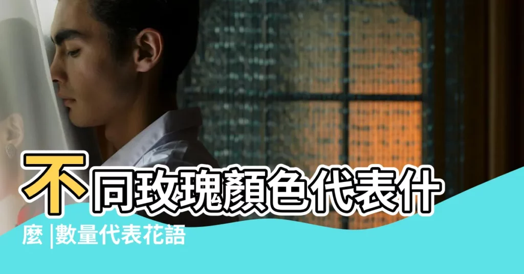 不同玫瑰顏色代表什麼 |數量代表花語總整理 |數量的意思大不同 |【顏色不同的玖瑰花語】