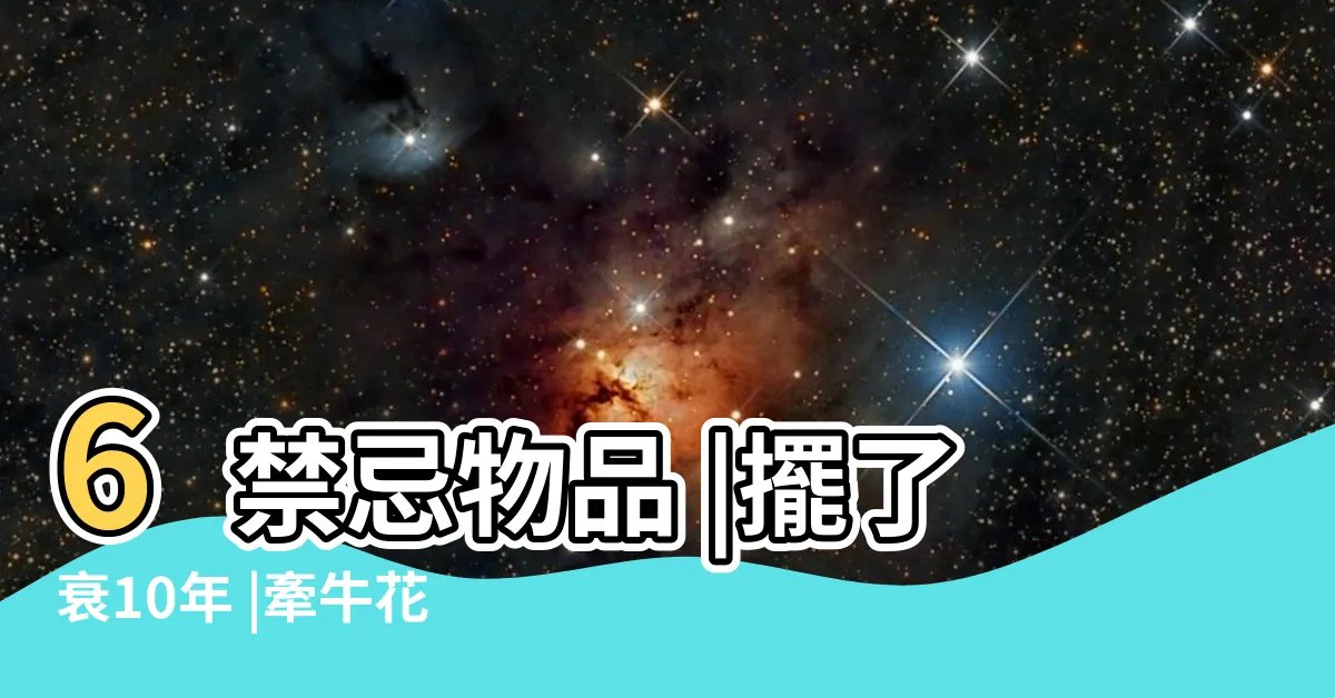 【牽牛花風水】6禁忌物品 |擺了衰10年 |牽牛花與綠豆芽的教育 |