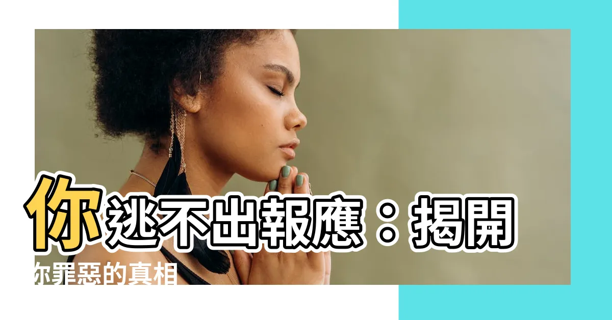 【你會有報應】你逃不出報應:揭開你罪惡的真相