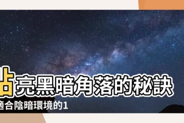 【適合陰暗的植物】點亮黑暗角落的秘訣！適合陰暗環境的10種室內植物推薦