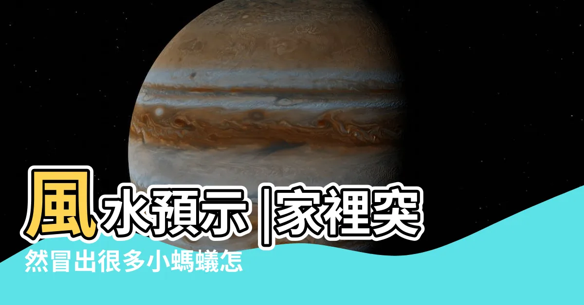【家裡突然有螞蟻】風水預示 |家裡突然冒出很多小螞蟻怎麼辦 |4個徵兆不可不知 |