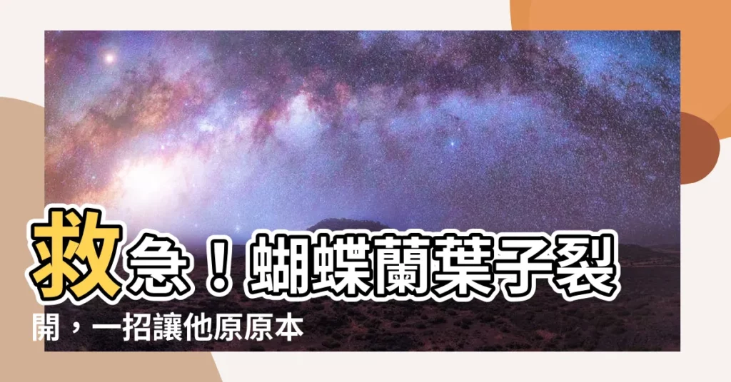 【蝴蝶蘭葉子裂開】救急！蝴蝶蘭葉子裂開，一招讓他原原本本復原！