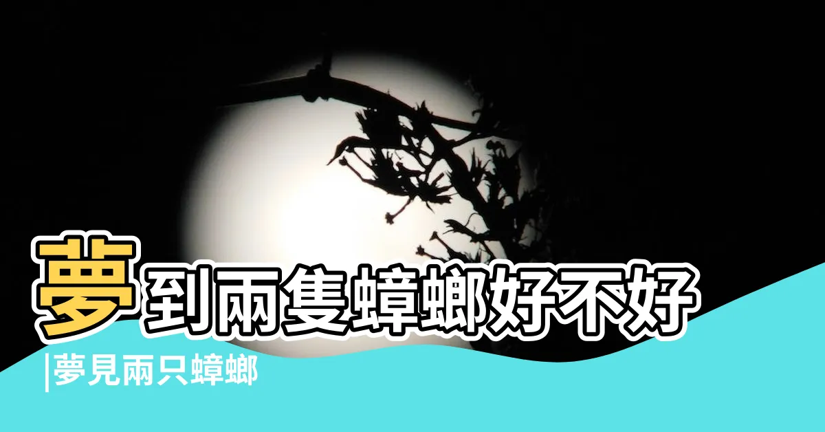 【夢到兩隻蟑螂】夢到兩隻蟑螂好不好 |夢見兩只蟑螂 |夢見兩隻蟑螂是什麼意思 |