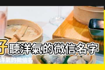 【取洋氣微信名字大全】好聽洋氣的微信名字 |很洋氣的微信名字 |男生微信名字可愛洋氣 |