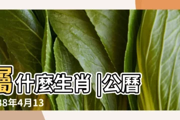 【1988年4月13日農曆】屬什麼生肖 |公曆1988年4月13日是農曆幾月幾號 |國曆1988年4月13日是農曆幾月幾日 |
