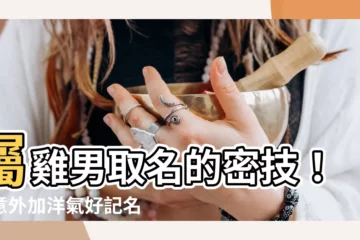 【屬雞男取名】屬雞男取名的密技！寓意外加洋氣好記名字等你來挑
