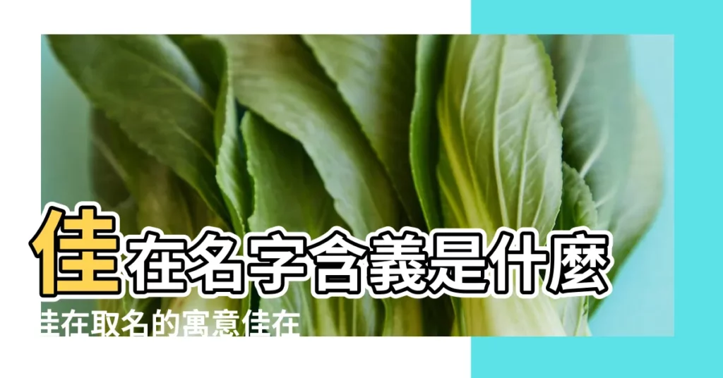 佳在名字含義是什麼佳在取名的寓意佳在起名的意思解析 |佳家名字的含義 |佳字是什麼意思呢 |【佳在人名中是什麼意思是什麼意思是什麼】