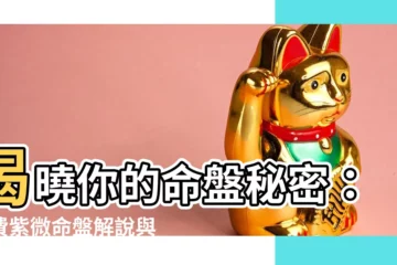 【免費紫微命盤解説】揭曉你的命盤秘密：免費紫微命盤解説與詳細分析