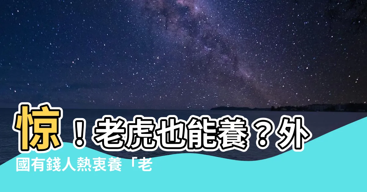 【老虎可以養嗎】驚！老虎也能養？外國有錢人熱衷養「老虎」，真能馴養老虎嗎？