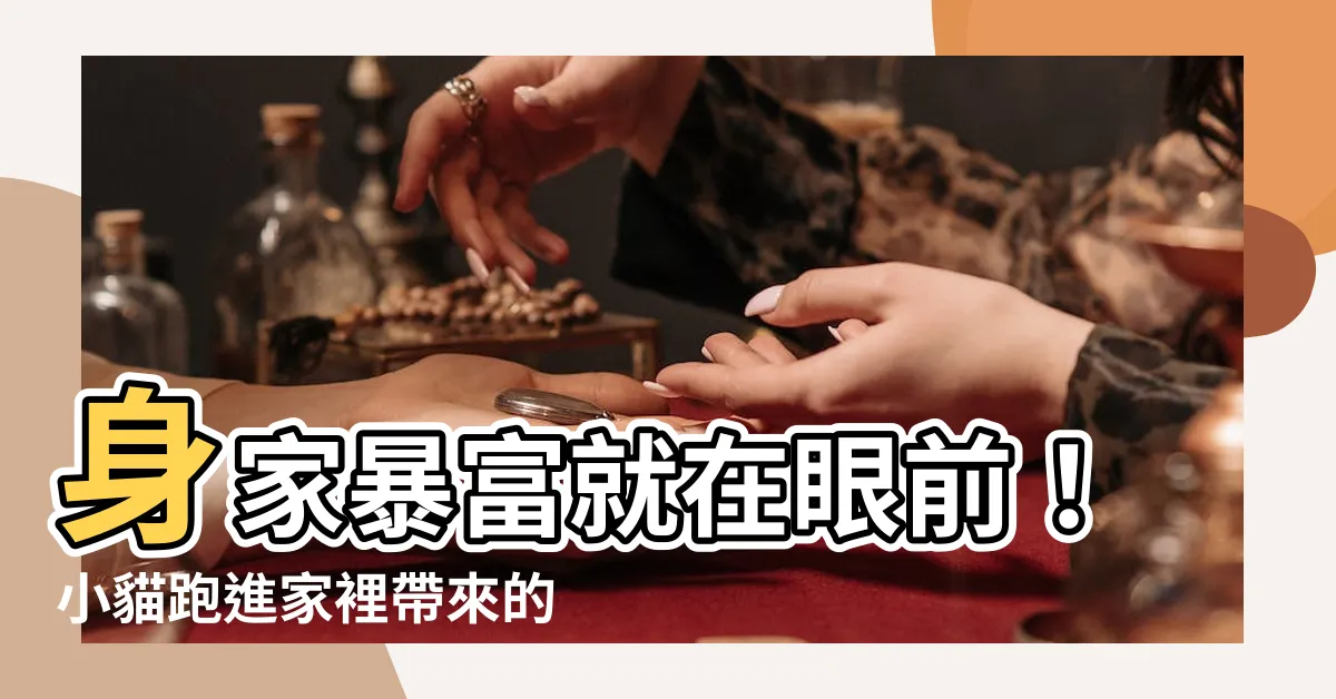 【小貓跑進家裡】身家暴富就在眼前！小貓跑進家裡帶來的天大喜訊千萬別錯過！