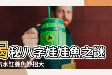 【八字娃娃魚】揭秘八字娃娃魚之謎，汽水缸養魚妙招大公開！
