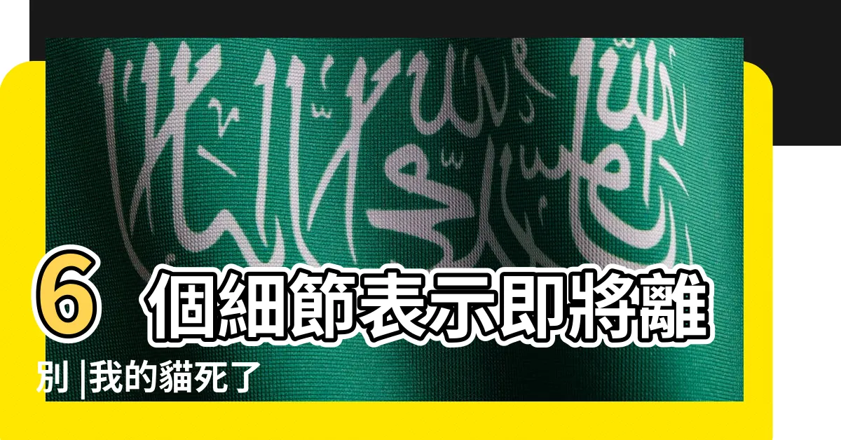 【貓死】6個細節表示即將離別 |我的貓死了 |3種方法來判斷貓咪是否死亡 |