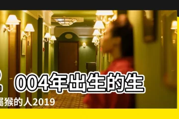 【2004年生的2019的運程】2004年出生的生肖屬猴的人2019年運勢查詢 |屬猴人2019年度運勢 |2004年屬猴的人2019年運程大全及破解 |