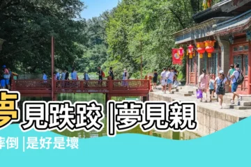 【周公解夢夢見婆婆摔傷】夢見跌跤 |夢見親人摔倒 |是好是壞 |