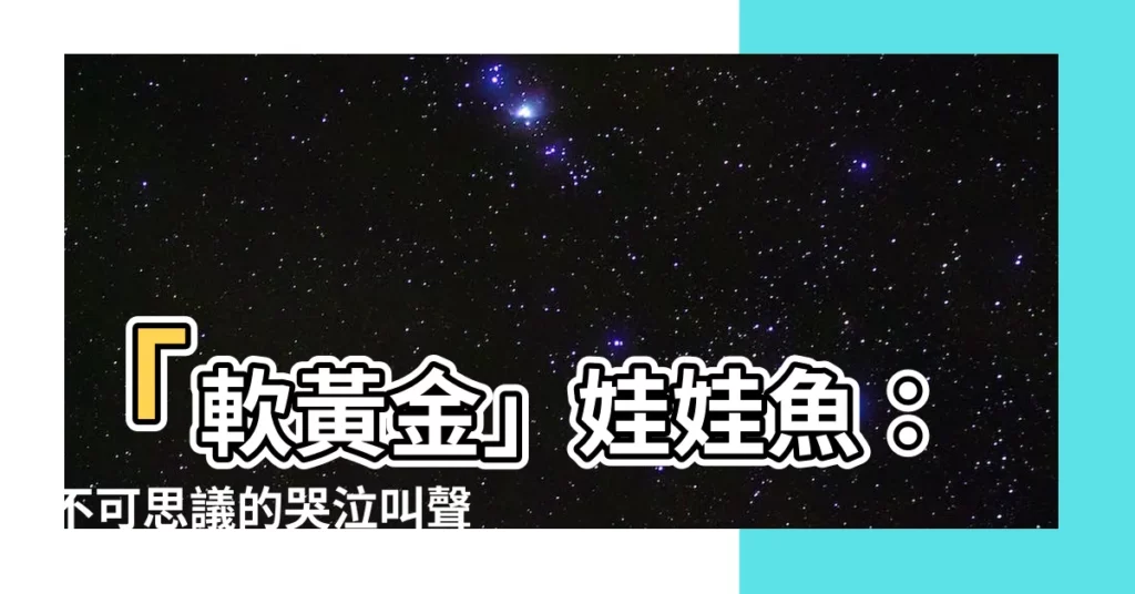 【娃娃魚的叫聲】「軟黃金」娃娃魚:不可思議的哭泣叫聲,你一定要聽!
