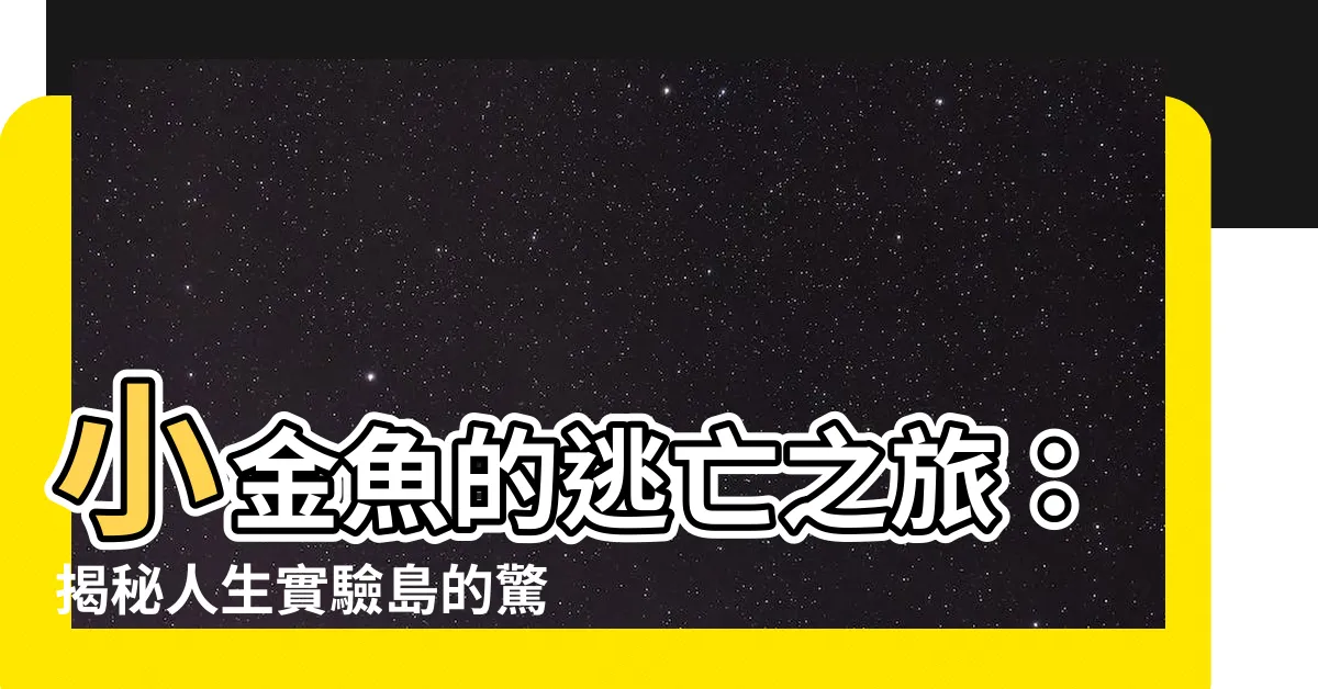 【小金魚】小金魚的逃亡之旅：揭秘人生實驗島的驚人發現