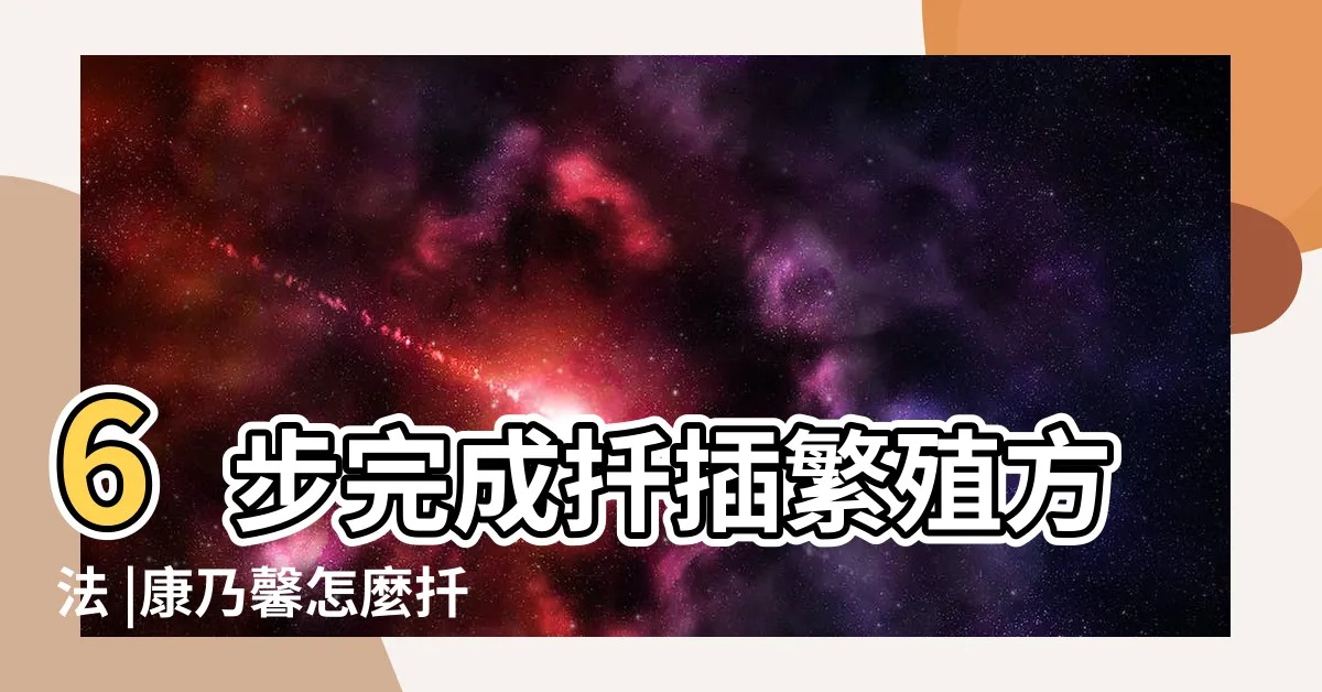 【康乃馨 扦插】6步完成扦插繁殖方法 |康乃馨怎麼扦插 |教你3個扦插的小妙招 |