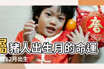 【屬豬十二月出生】屬豬人出生月的命運 |農曆12月出生屬豬人命好嗎 |十二月出生的豬人命運好嗎 |