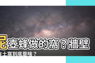 【牆壁上有土窩】泥壺蜂做的窩?牆壁上有土窩到底是啥?
