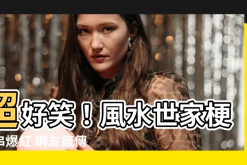 【風水世家梗圖】超好笑！風水世家梗圖串爆紅 網友瘋傳笑到併軌