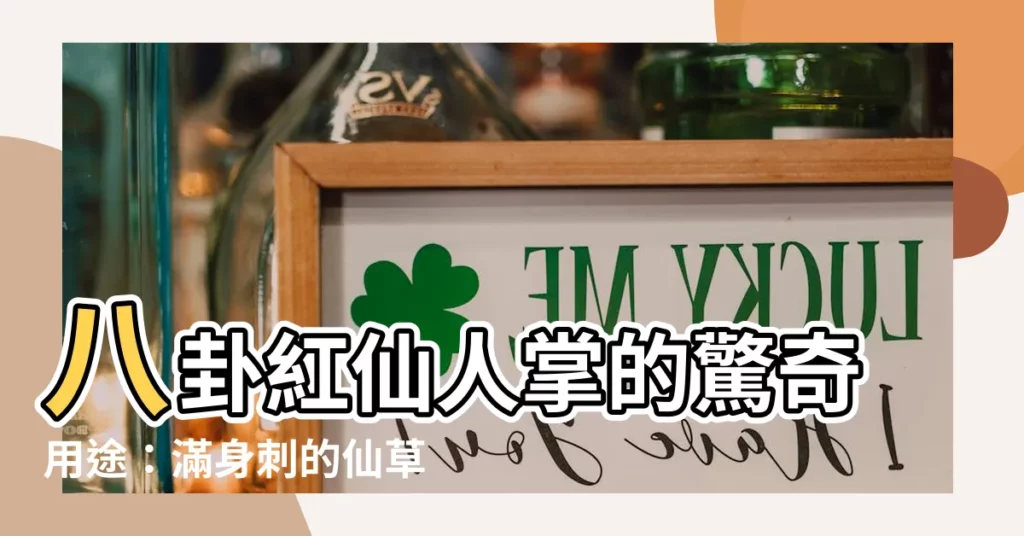 【八卦紅仙人掌用途】八卦紅仙人掌的驚奇用途：滿身刺的仙草，竟能清熱解毒！