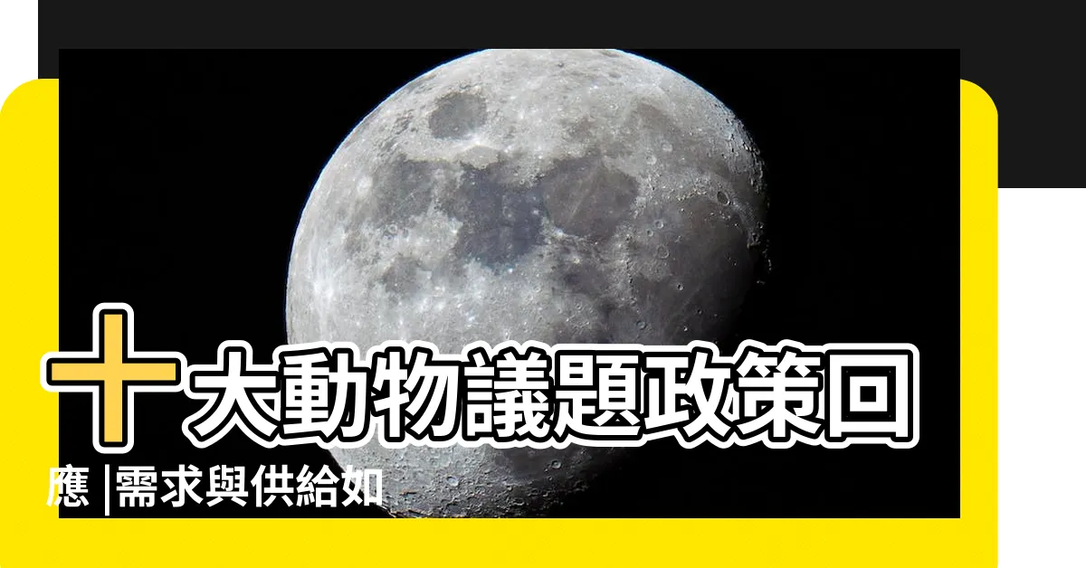 【寵物議題】十大動物議題政策回應 |需求與供給如何碰撞出寵物產業全新商機 |不如正視寵物食安政策 |
