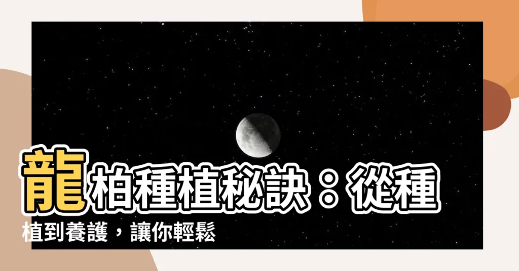 【龍柏種植】龍柏種植秘訣：從種植到養護，讓你輕鬆打造綠意盎然的庭院