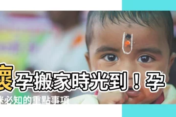 【懷孕搬屋】懷孕搬家時光到！孕媽咪必知的重點事項與禁忌