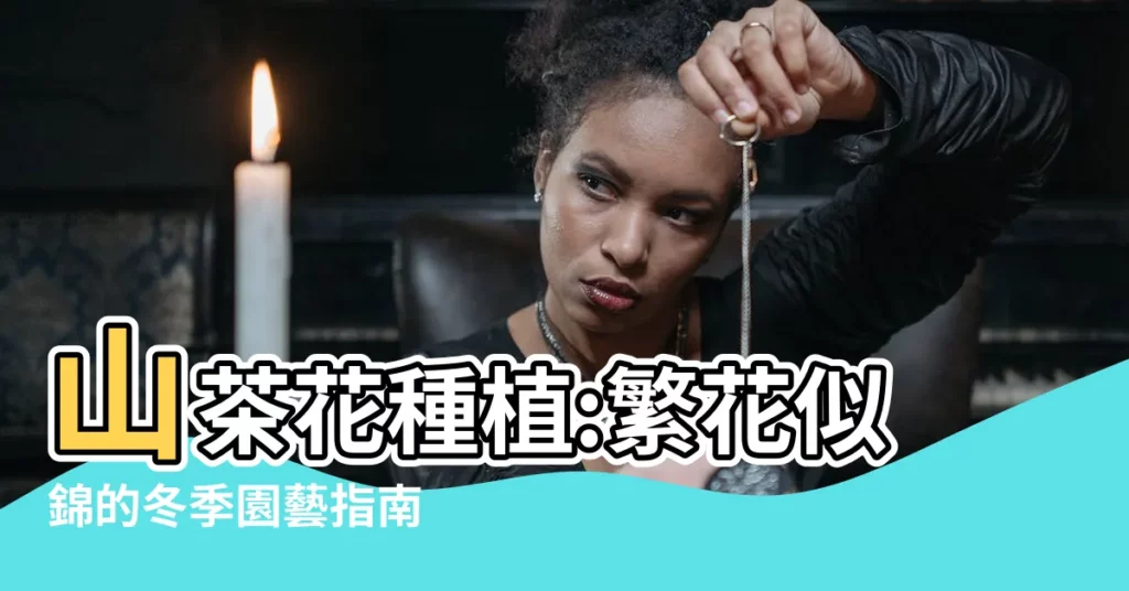 【山茶花種植】山茶花種植:繁花似錦的冬季園藝指南
