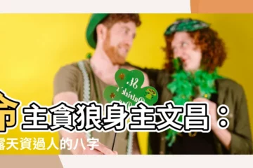 【命主貪狼身主文昌】命主貪狼身主文昌：揭露天資過人的八字解析
