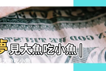 【夢到 一羣小魚咬 大魚】夢見大魚吃小魚 |夢見大魚吃小魚 |夢見大魚吃小魚是什麼意思預兆 |