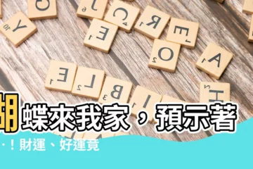 【蝴蝶來我家】蝴蝶來我家，預示著……！財運、好運竟都找上門了！