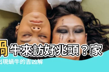 【蝸牛來家裡】蝸牛來訪好兆頭？家裡出現蝸牛的吉凶解析