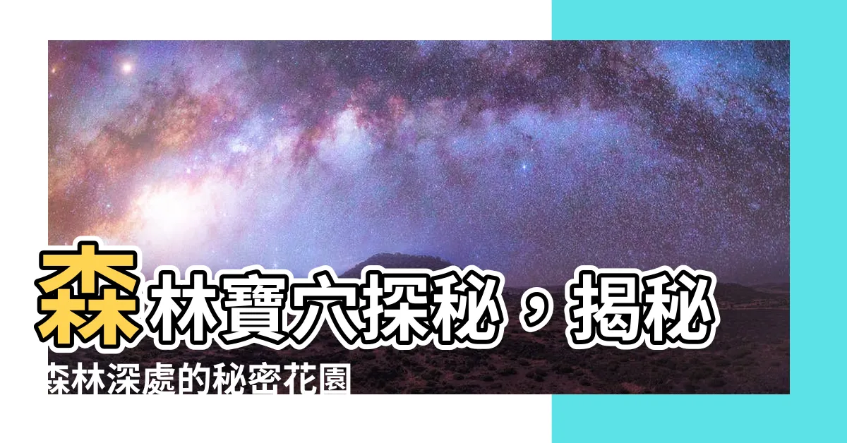 【森林寶穴】森林寶穴探秘，揭秘森林深處的秘密花園！