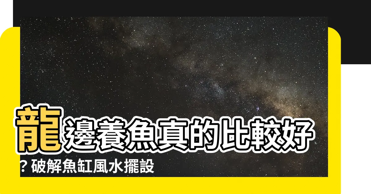 【龍邊養魚】龍邊養魚真的比較好？破解魚缸風水擺設大全！