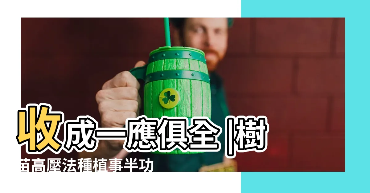 【樹苗種植】收成一應俱全 |樹苗高壓法種植事半功倍值得一試 |帝王柑樹苗種植指南 |