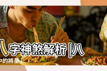 【神煞4個將星】八字神煞解析 |八字中的將星 |