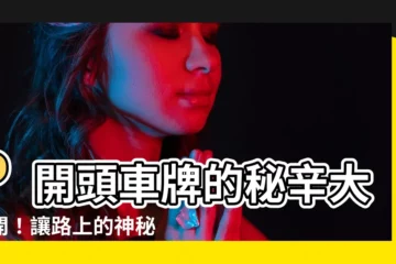【p開頭車牌】P開頭車牌的秘辛大公開！讓路上的神秘感不再神秘