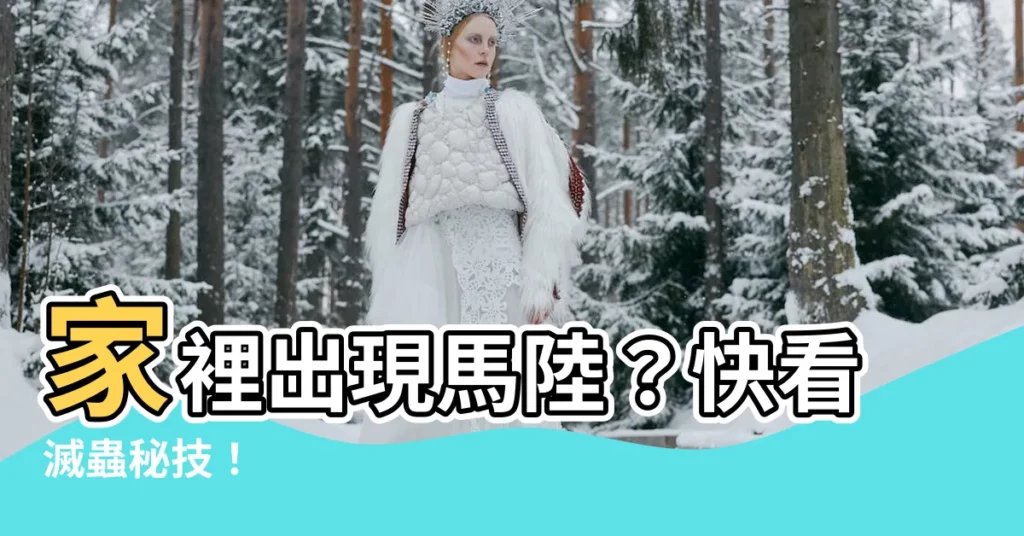 【家裡有馬路】家裡出現馬陸？快看滅蟲秘技！