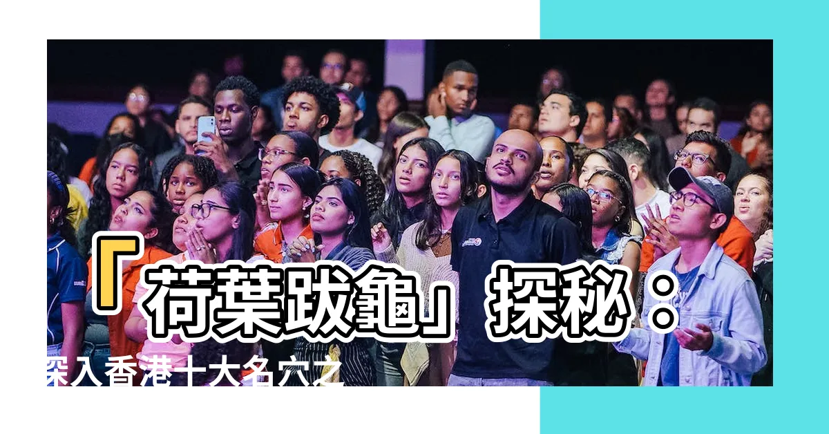 【十大名穴】「荷葉跋龜」探秘：深入香港十大名穴之首玉女拜堂仙人大座