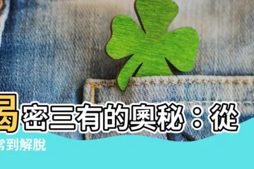 【三有的意思】揭密三有的奧秘：從無常到解脱