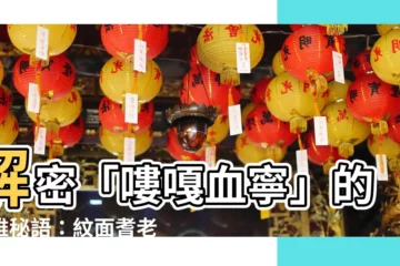 【嘍嘎血寧意思】解密「嘍嘎血寧」的泰雅秘語：紋面耆老歷史文化報告