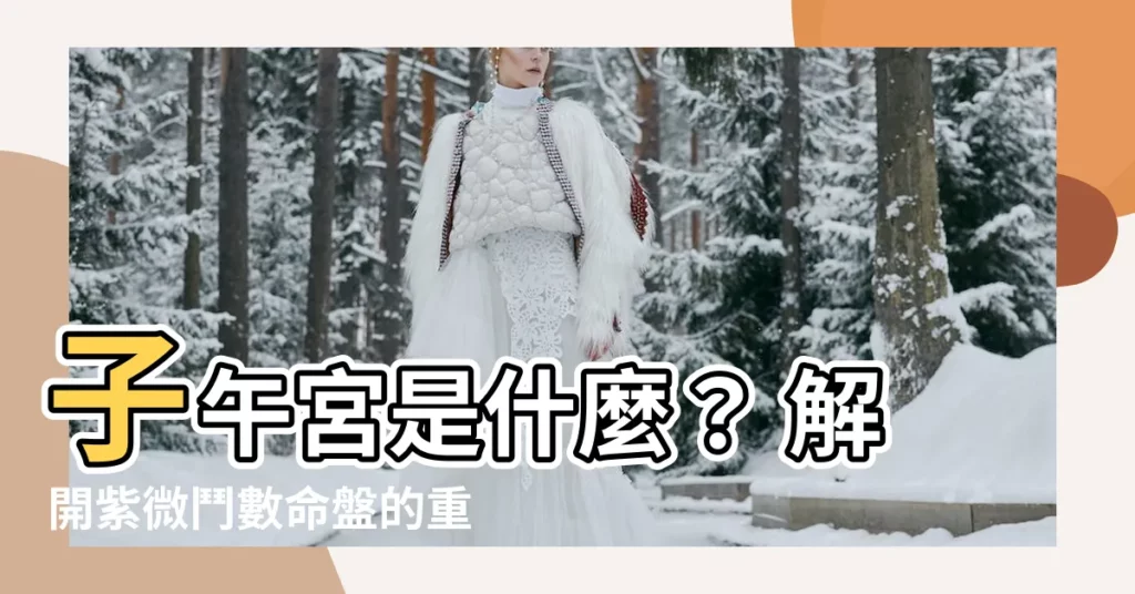 【子午宮是什麼】子午宮是什麼？ 解開紫微鬥數命盤的重要秘密