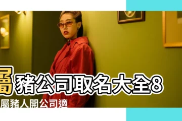 【83年屬豬取什麼名字】屬豬公司取名大全83年屬豬人開公司適合用什麼名字 |屬豬女孩取名的吉祥字有內涵的名字大全 |83年屬豬取什麼名字旺財 |